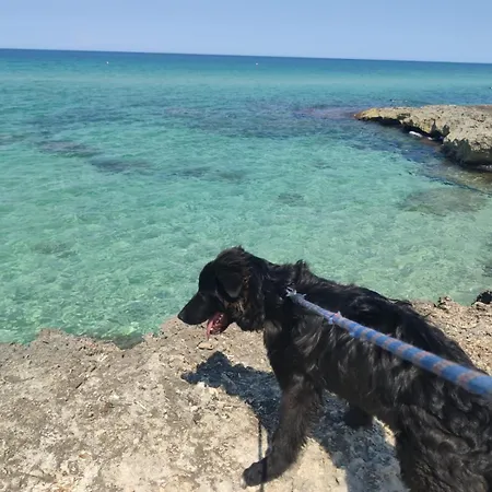 Bed & Breakfast Uno' 3*