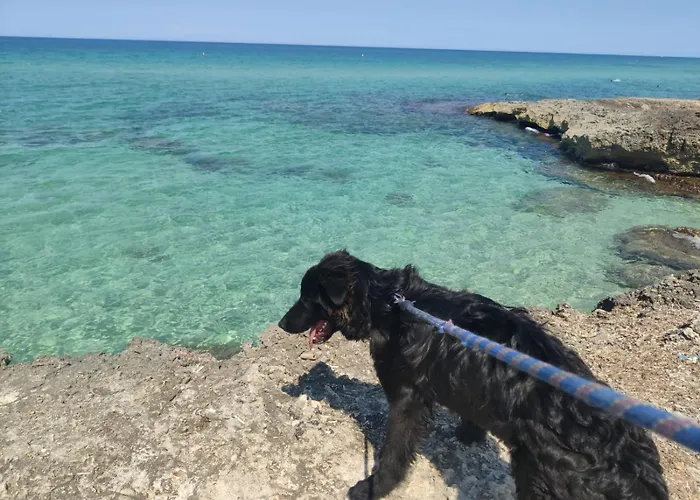 Bed and breakfast Uno' 3*